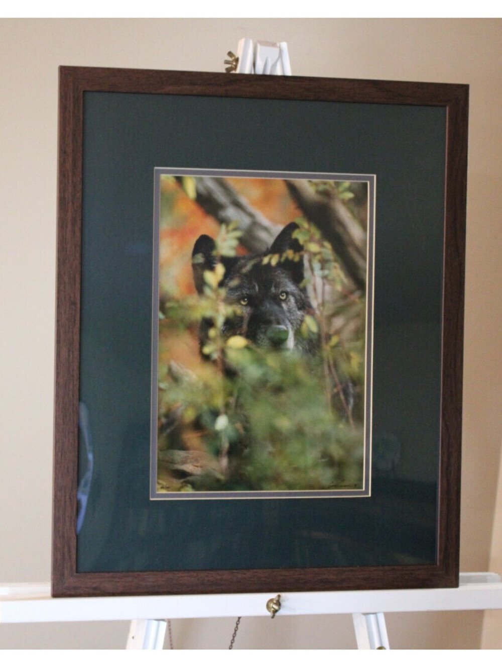 Photograph by Gary Cranson Black Wolf in Autumn Signed 1995 Dbl Mat/Frame 16x20